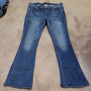 Express Blue Wide-Leg Flare Jeans